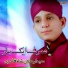 Syed Arsalan Shah Qadri
