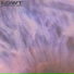 LOWT feat. MAIZ
