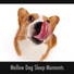 Sleepy Dog Zone