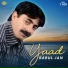 Babul Jan