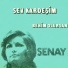 Senay