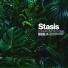 Stasis