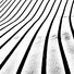 Kris Orlowski