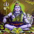 Shashi Surila