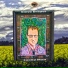 Steve Draper