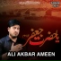 Ali Akbar Ameen