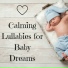 Sweet Dreams Sleep Music Club