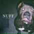 NuffHungry, King Girl