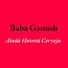 Baba Ganush