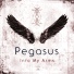 Pegasus