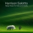 Harrison Salotto
