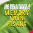 Ade Irma, Nanan.S