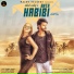 ADEEL SADIQ