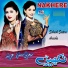 Sehrish Sisters, Areesha