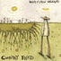 Country Fried