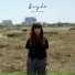 Bryde