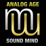 Analog Age
