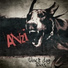 Anzi