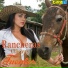 El Mariachi Fuentes feat. Tito Cortes