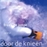 Freek de Jonge
