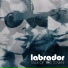 Labrador