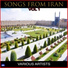 Ebrahim And Royal Orchestra