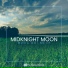 Midknight Moon