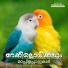 Mujeeb, Sreekutty