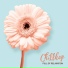 Chillout Lounge Relax, Acoustic Chill Out