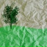 MIDORI ORGEL