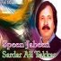 Sardar Ali Takkar