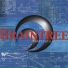 Braintree