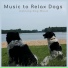 Music to Relax Dogs