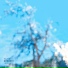 Ssidena