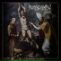Rotting C