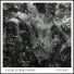Vague Stories MMXIV