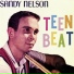 Sandy Nelson