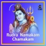 Venkata Siva Durga Prasad