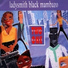 Ladysmith Black Mambazo