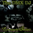 The DMX DJ