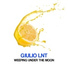 Giulio Lnt