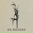 Ex Felines