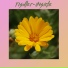 Tishler