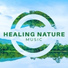 Meditation Yoga Music Masters