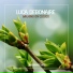 LUCA DEBONAIRE FT. DJ MATVEY