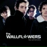 The Wallflowers (2003)
