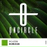 DClerk
