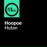 Hoopoe