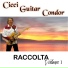Cicci Guitar Condor