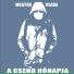 Mester Csaba